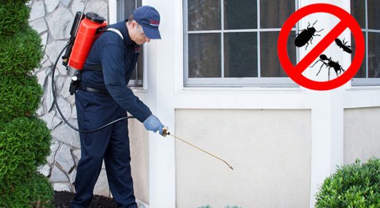 Gülyalı Böcek İlaçlama böcek ilaçlama ve haşere kontrolü — ilaclama-tr.com